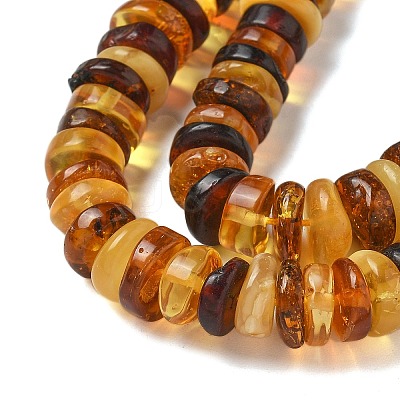 Natural Amber Beads Strands G-K387-C01-01-1