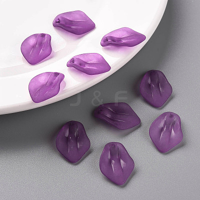 Transparent Frosted Acrylic Pendants MACR-S371-03A-743-1