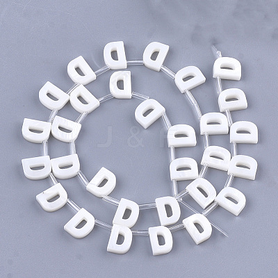 Natural Freshwater Shell Beads SHEL-T012-59D-1