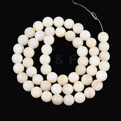 Natural Freshwater Shell Beads Strands SHEL-N038-05-1