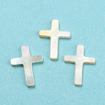 Natural Sea Shell Cabochons SHEL-D079-09-1