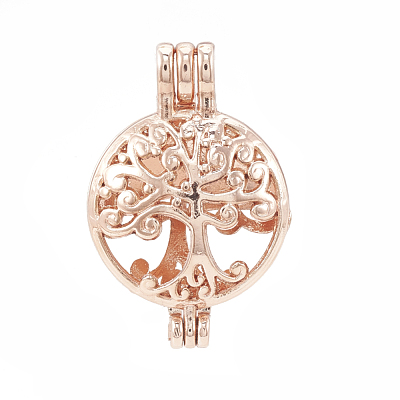 Alloy Locket Pendants PALLOY-S062-54RG-1