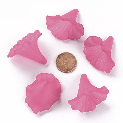 Transparent Acrylic Beads X-BSF796-C16-1