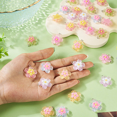 30Pcs 6 Colors Transparent Resin Pendants RESI-TA0004-74-1