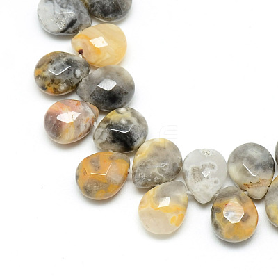 Natural Crazy Lace Agate Gemstone Beads Strands X-G-T006-10-1