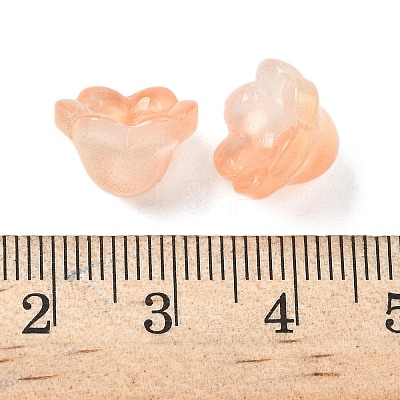 Transparent Glass Beads Caps GLAA-B028-01D-1