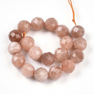 Natural Sunstone Beads Strands G-S345-10mm-23-1