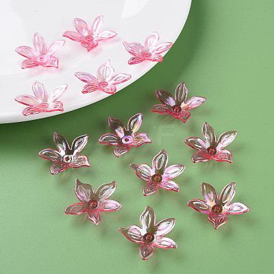 Transparent Acrylic Beads LS-MACR-S373-102-C01-1