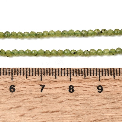 Natural Canadian Jade Beads Strands G-G259-D02-2mm-1