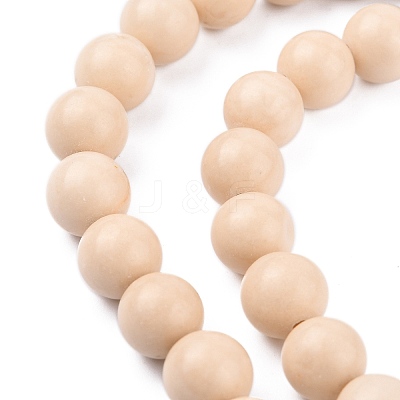 Natural Fossil Beads Strands LS-G-E110-8mm-2-1