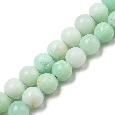 Grade A Natural Chrysoprase Beads Strands G-R494-A02-02-1