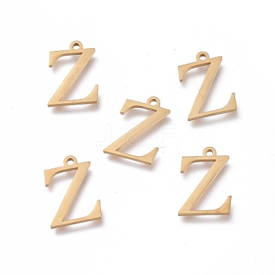 304 Stainless Steel Charms STAS-K215-17G-1