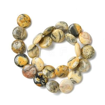 Flat Round Natural Crazy Lace Agate Beads Strands G-S110-05-1