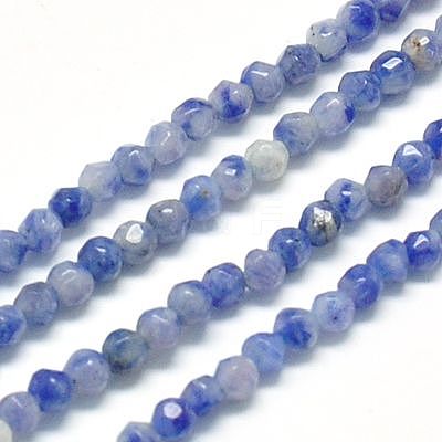 Natural Sodalite Beads Strands X-G-J002-09-1
