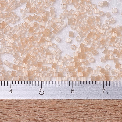 MIYUKI Delica Beads SEED-JP0008-DB0821-1