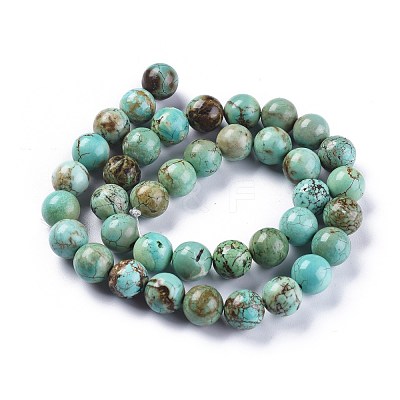 Natural Magnesite Beads Strands TURQ-F017-02-10mm-1