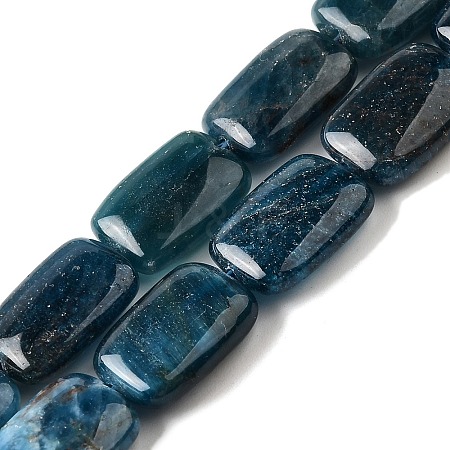 Natural Apatite Beads Strands G-Q026-B01-02-1