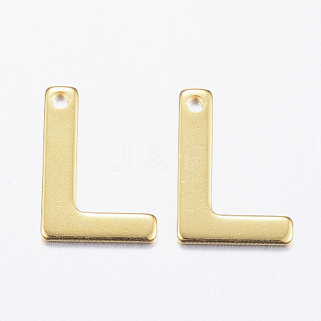 304 Stainless Steel Charms LS-X-STAS-P141-L-1