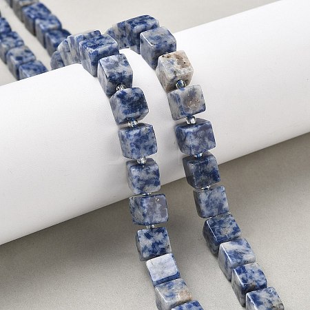 Natural Blue Spot Jasper Beads Strands G-D338-A02-1