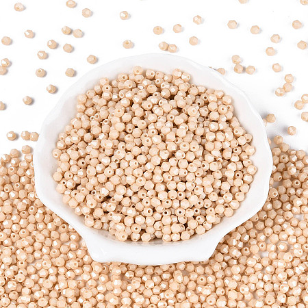Baking Paint Pearlized Glass Seed Beads SEED-T007-21A-02-1