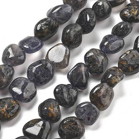 Natural Iolite Beads Strands G-C179-F06-01-1