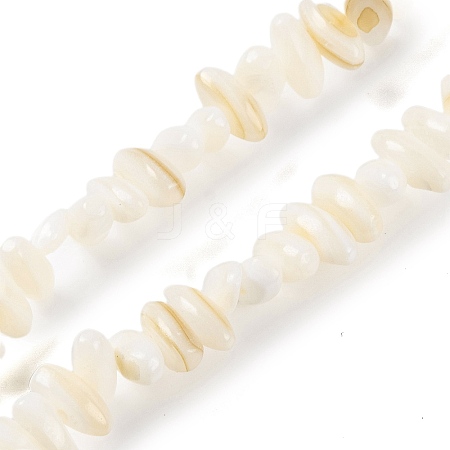 Natural Anomaly Freshwater Shell Beads Strands BSHE-S304-05A-1