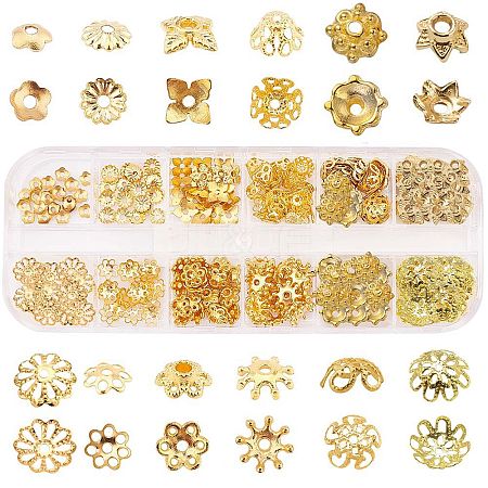 Iron & Brass & Alloy Bead Caps IFIN-SC0001-10-1