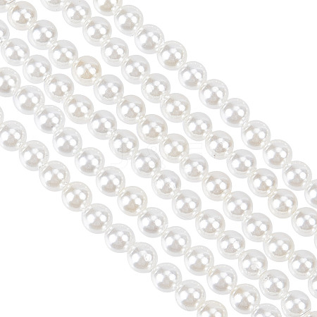 GOMAKERER 2 Strands Shell Pearl Beads Strands BSHE-GO0001-03-1