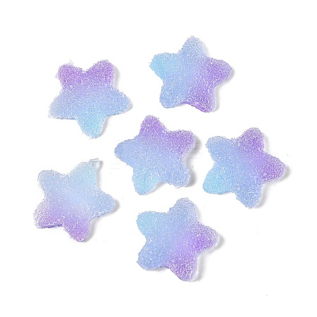 Imitation Candy Food Style Resin Cabochons RESI-R461-02N-1