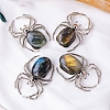 Natural Labradorite Alloy Spider Ornament PW-WG9F9E5-01-2