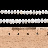 Natural Freshwater Shell Beads Strands SHEL-C010-04B-02-4