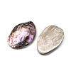 Natural Paua Shell Cabochons SSHEL-S280-01C-2
