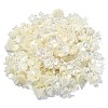 300Pcs ABS Plastic Imitation Pearl Flower Bead Caps KY-CJ0001-59-3