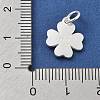 925 Sterling Silver Charms STER-S009-12A-S-3