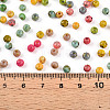 Picasso Glass Seed Beads SEED-N007-20A-4