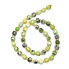 Natural Chrysoprase Beads Strand G-I376-D47-01-2