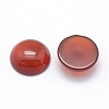 Natural Carnelian Cabochons G-P393-R37-12mm-2