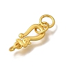 Brass Hooks KK-CBA0DF0-19C-G-2