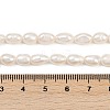 Natural Cultured Freshwater Pearl Beads Strands PEAR-P064-20H-03A-5
