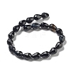 Natural Black Agate Beads Strands G-P520-B15-01-3