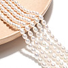 Natural Cultured Freshwater Pearl Beads Strands PEAR-N024-04-4AB-1