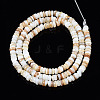 Natural Freshwater Shell Beads Strands X-SHEL-T018-28-2