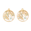 Rack Plating Alloy Enamel Pendants LS-FIND-A040-07A-04G-1