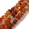 Natural Agate Beads Strands G-C039-F02-1