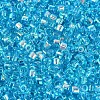 FGB Transparent Colours Glass Seed Beads SEED-Q040-07A-B05-3
