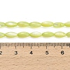 Natural Freshwater Shell Beads Strands X-SHEL-C010-01D-4