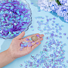 2000Pcs UV Plating Resin Charms RESI-NB0002-17D-3
