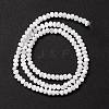 Natural Trochid Shell/Trochus Shell Beads Strands SSHEL-O001-24B-02-2