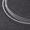 Nylon Wire NW0.45mm-2