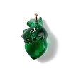 Transparent Resin Pendants RESI-E028-01G-10-2